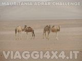  - Foto 112 di 541