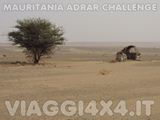  - Foto 113 di 541