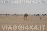  - Foto 117 di 541