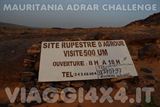  - Foto 397 di 541