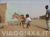  - Foto 427 di 541