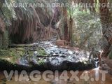  - Foto 444 di 541