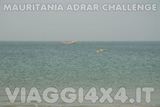 - Foto 486 di 541